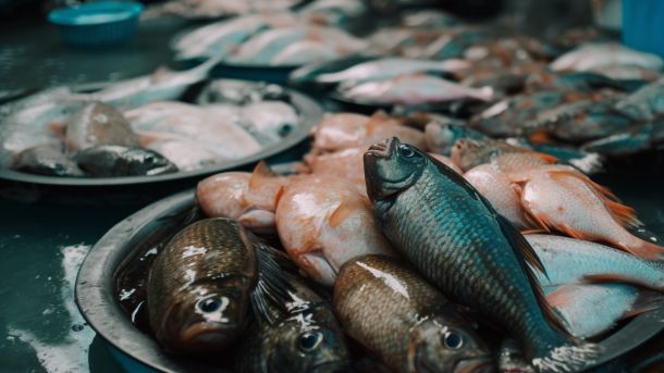 La Chine ne s'implique pas dans un programme des Nations Unies visant à examiner les marchés humides asiatiques et d'autres sites à haut risque de propagation de maladies infectieuses des animaux sauvages vers les humains.